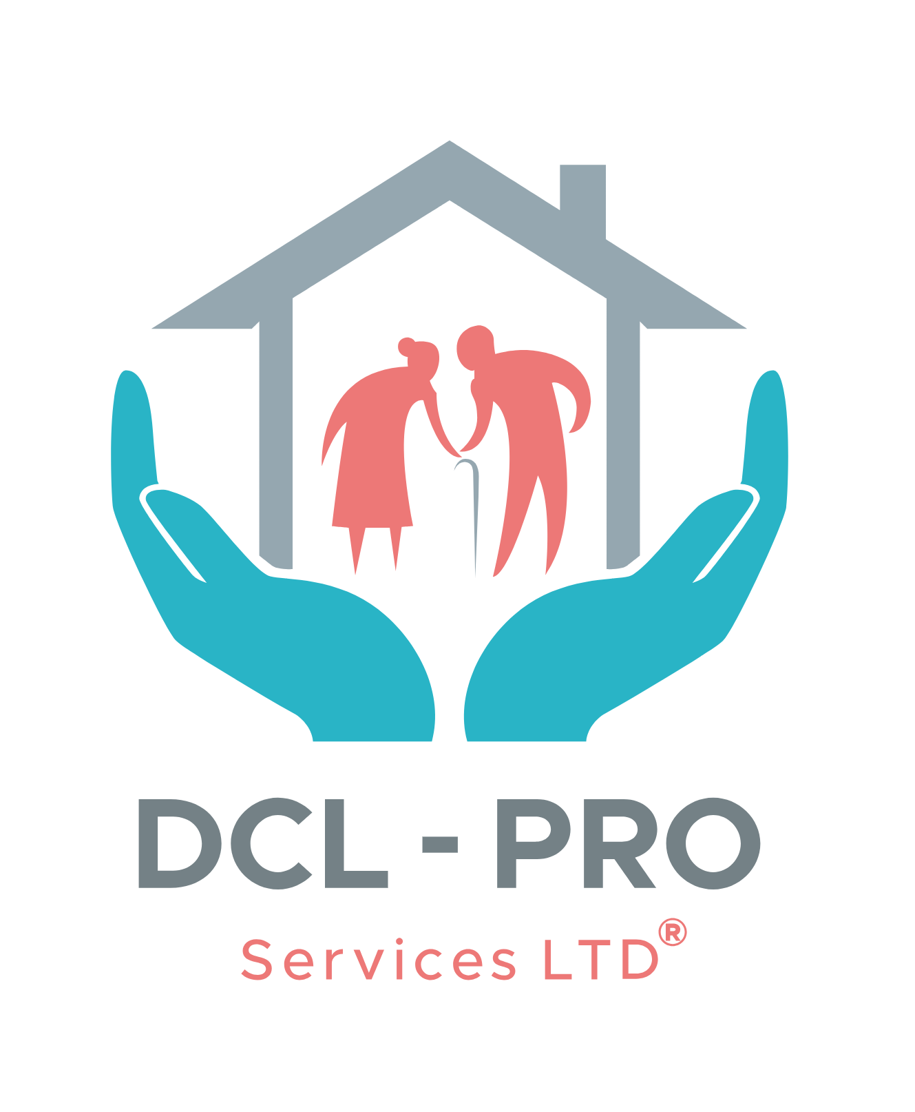 DCL Pro logo